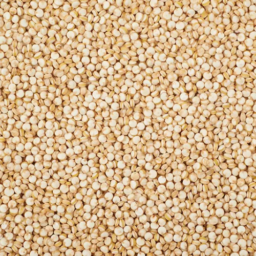 Quinoa Seeds